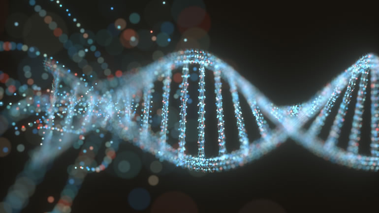 Double helix