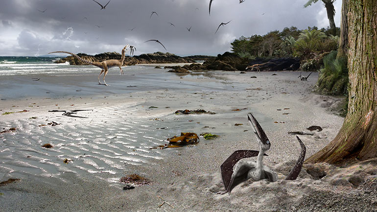 Pterosaur nesting ground