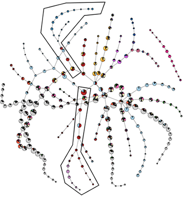 Figure 1 showing the branching time for single-cell transcriptome of planarians