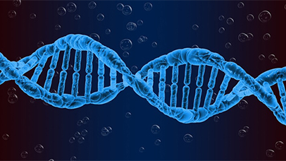 Image of a DNA strand