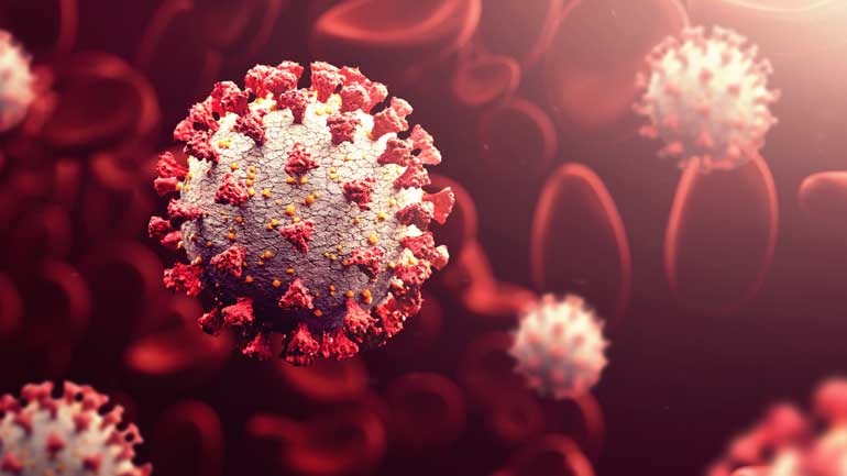 Coronavirus close up wide shot in blood
