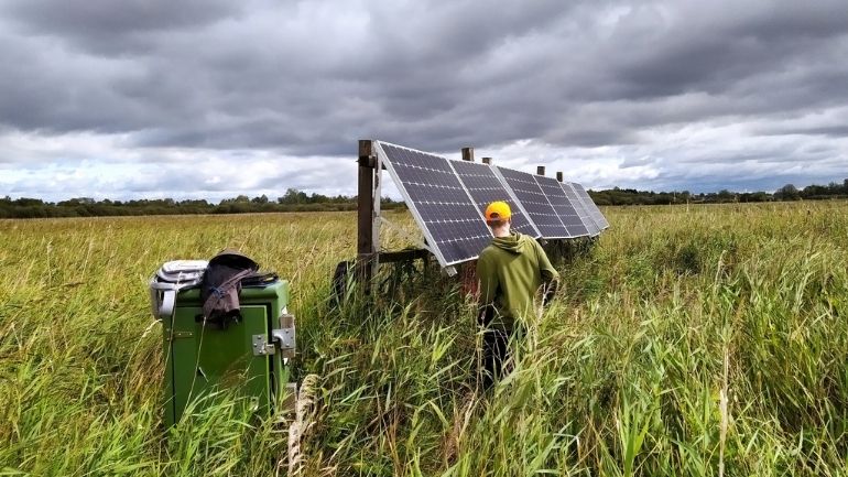 A researcher inspects equipment measuring emissions in a peatland fen.