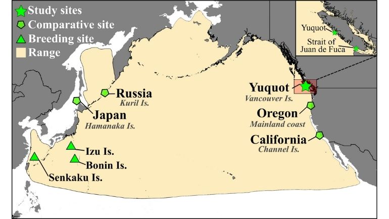 Map of the North Pacific Ocean highlighting known foraging and breeding sites of the short-tailed albatross used in this study.