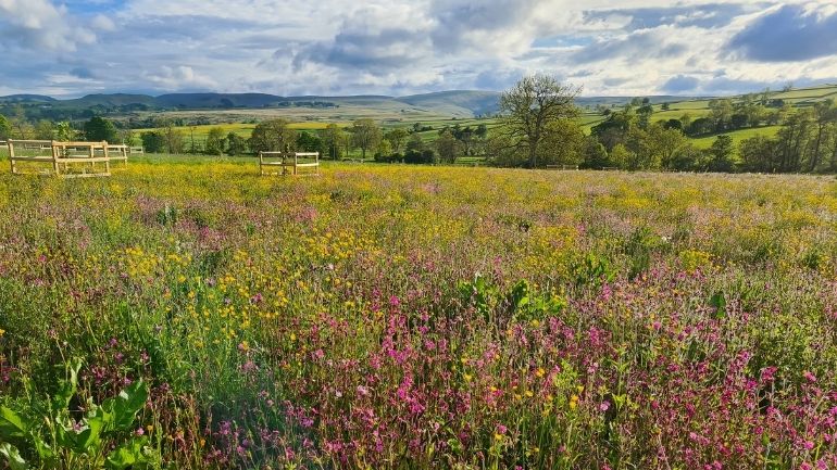 Landscape view taken in Askham, Cumbria.