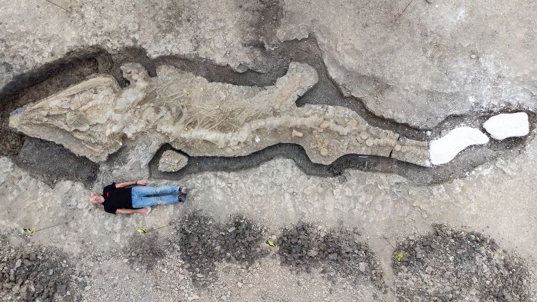 Aerial view of the fossilised remains of an ichthyosaur discovered in Rutland, with human to scale.