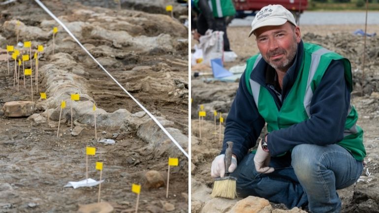 Composite image of close-up fossilised remains of an ichthyosaur discovered in Rutland, and Dr Mark Evans, Visiting Fellow at the University of Leicester.