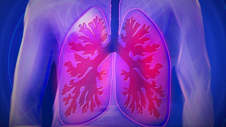 Lungs representing respiratory health.