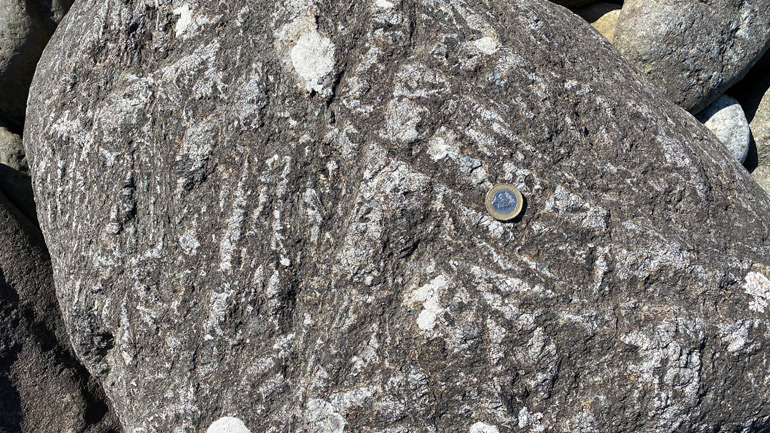 A close up of one of the Rum rock samples ©Luke Daly/University of Glasgow