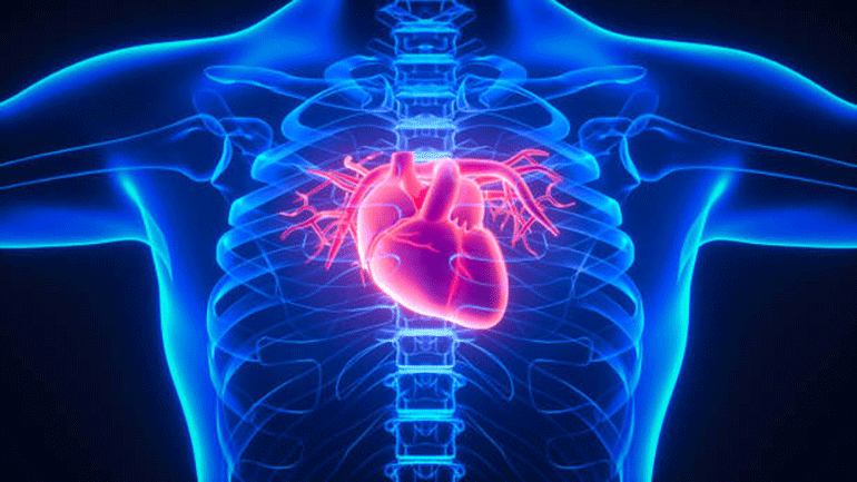 Study reveals underlying genetic risks for a type of heart attack ...