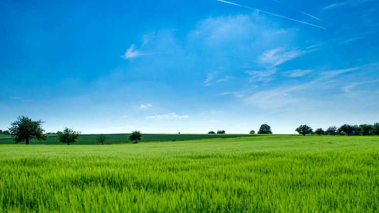 Blue skies and green fields.