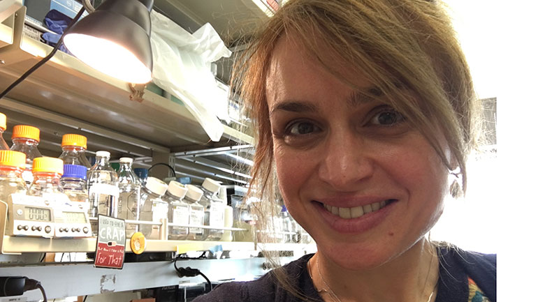 Dr Yolanda Markaki