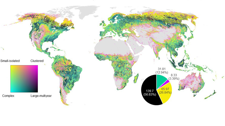 Distribution of disturbance patterns based on total area covered (Mha)