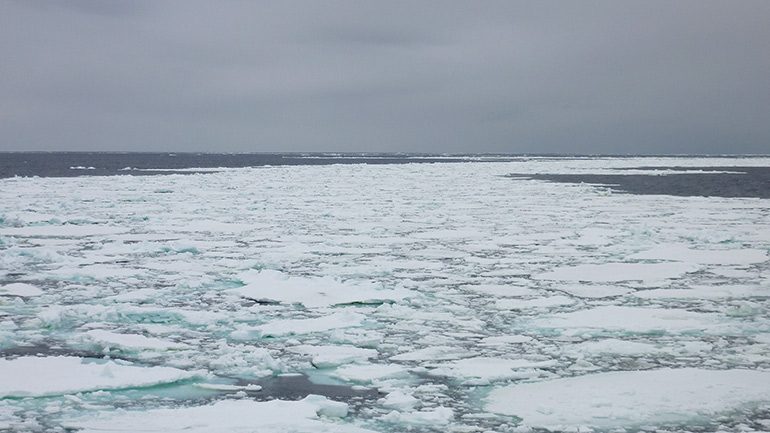 Photo taken during a subsequent expedition to the Antarctic aboard the same research vessel.