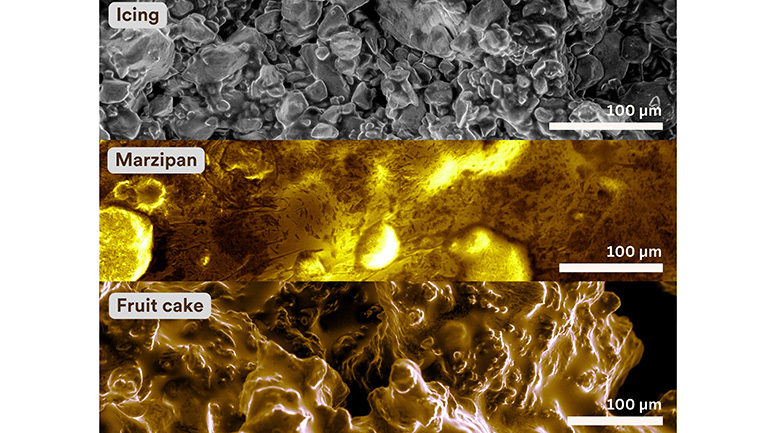 Scanning Electron Microscopy images of Christmas Cake components.