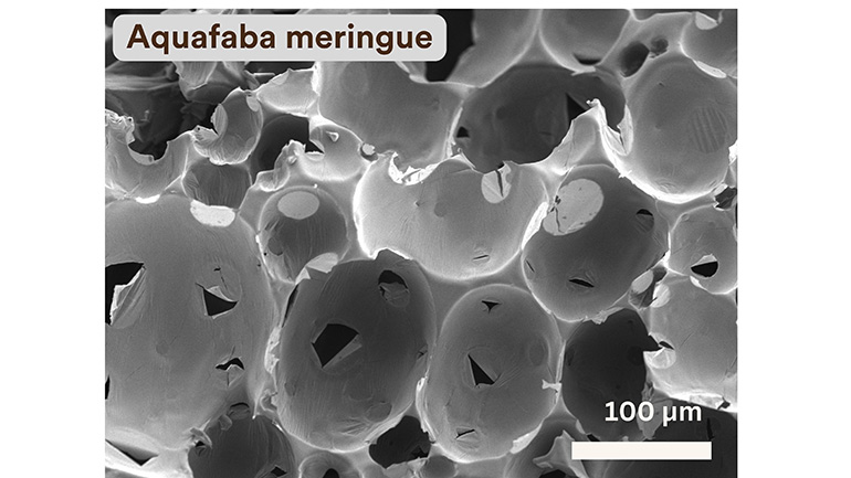 Scanning Electron Microscopy images of vegan meringue.