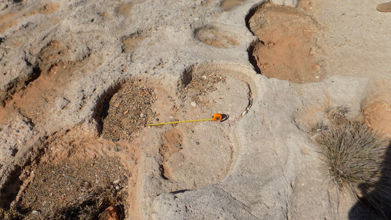Adjacent grinding stone removals at Ormideia leaving a clover leaf shape. © ULAS, University of Leicester