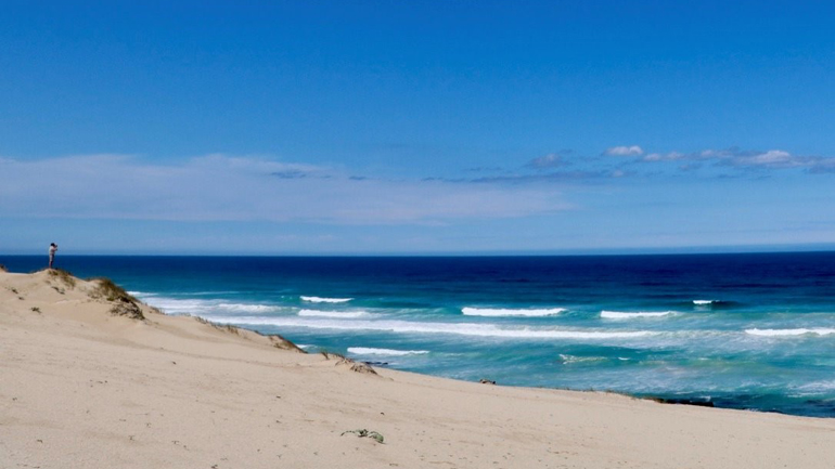 The wild coastline of South Africa at De Hoop Nature Reserve where plastic samples were collected. Photography: Sarah Gabbott