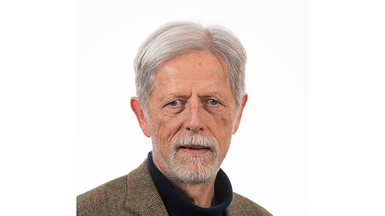 Professor Terry Brugha