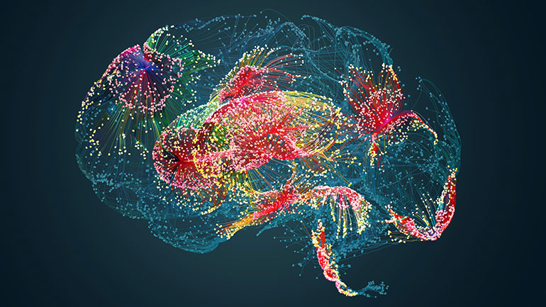 Internal view of the brain (stock picture: Getty)