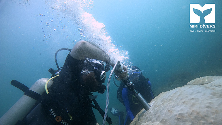 The field support team, Miri Divers. Credit: Miri Divers