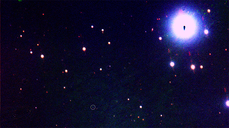 A three colour image of the field as observed with the Liverpool Telescope in the g, r and i bands. EP250108a is circled and is noticeably bluer than the stars in the field around it.