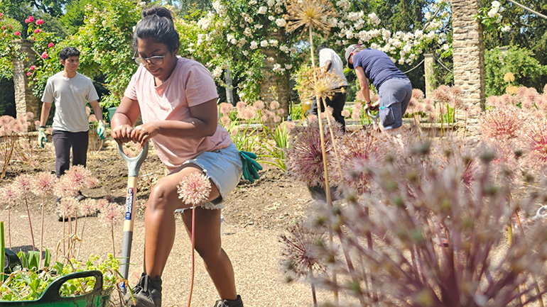 Volunteers working at the Big Plant.
