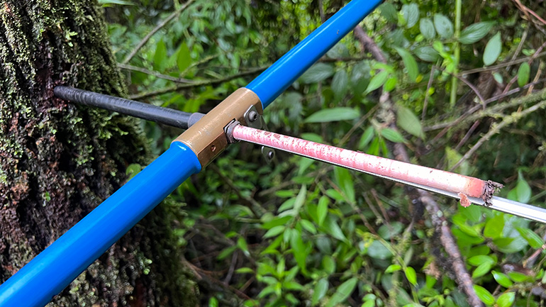 A tree ring sample being extracted from a tree. Credit: Roel Brienen