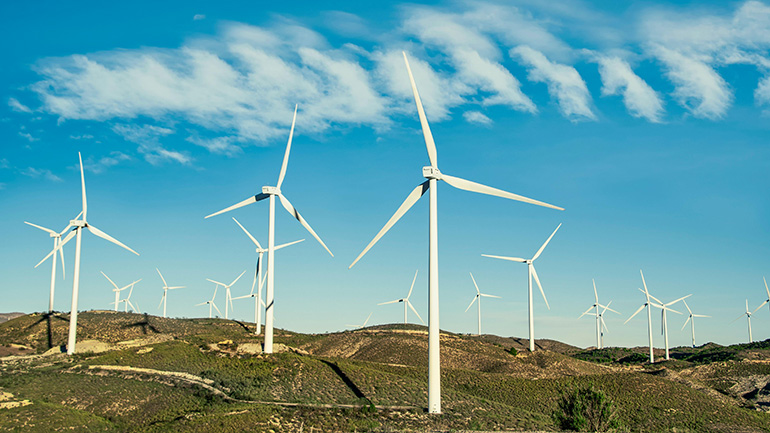 A field filled with wind turbines.