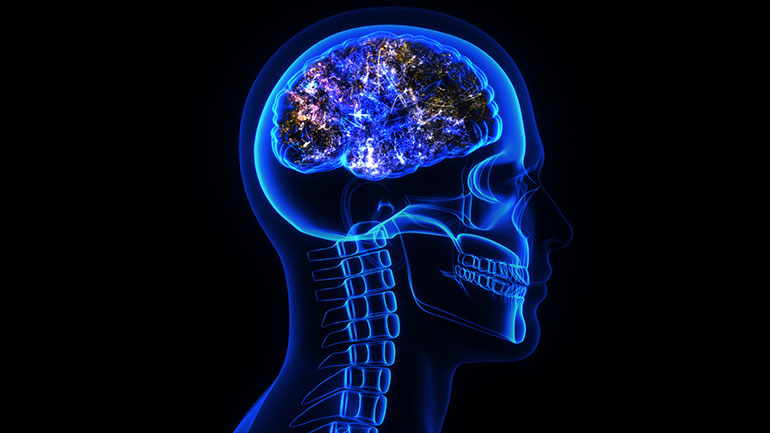Brain (Getty)
