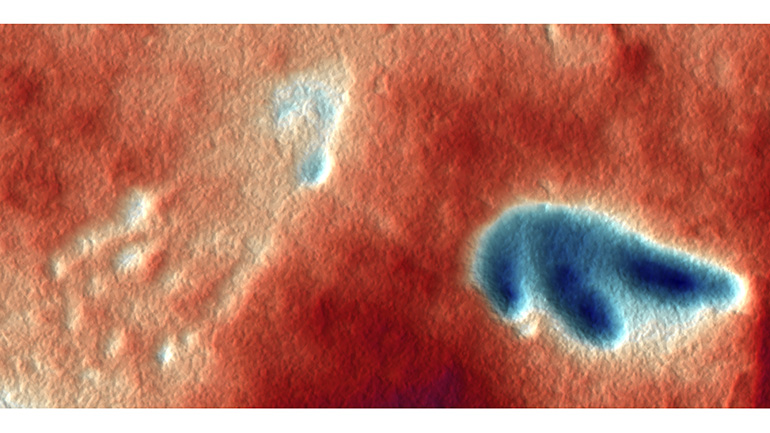 False-colour depth map revealing the shape and pressure of each step, showing that these creatures bore more weight on their hands while walking.
