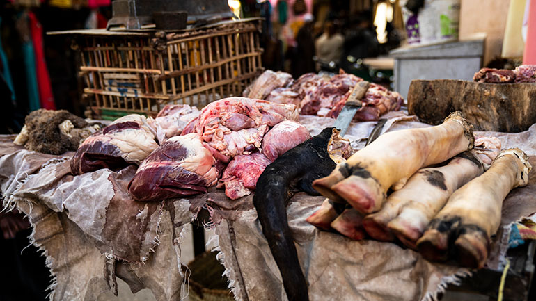 Bushmeat  - generic image (Getty)