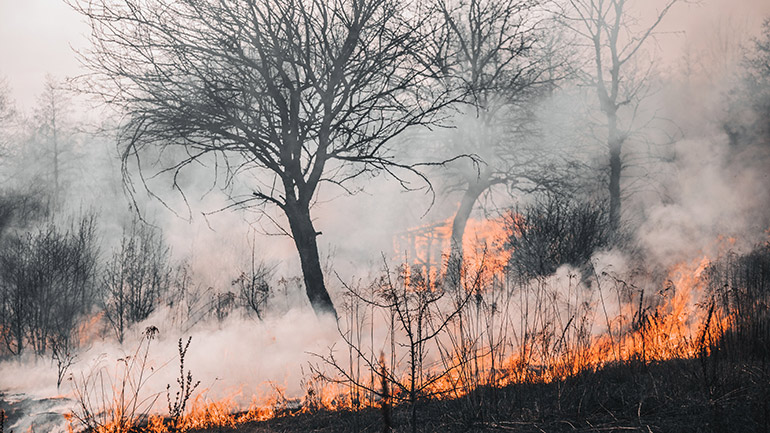 A wildfire in Russia.