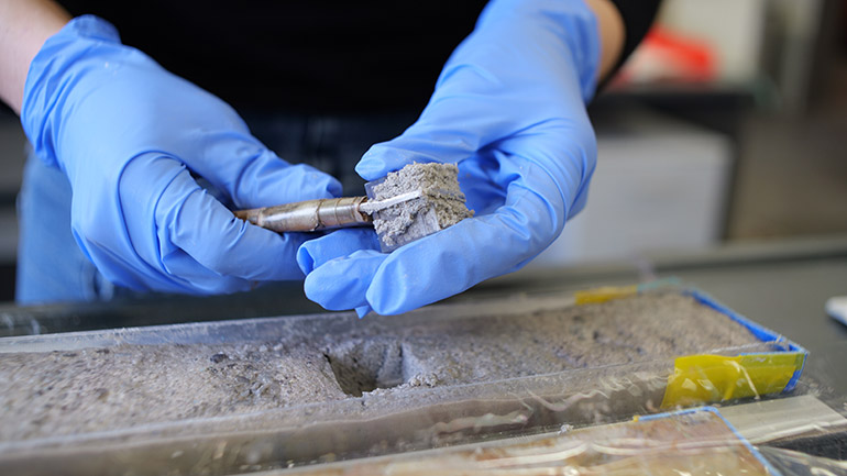 Working on the samples. Credit: Le_Ber@ECORD_IODP³