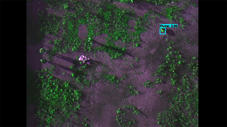 Smoke plume detection using a drone.