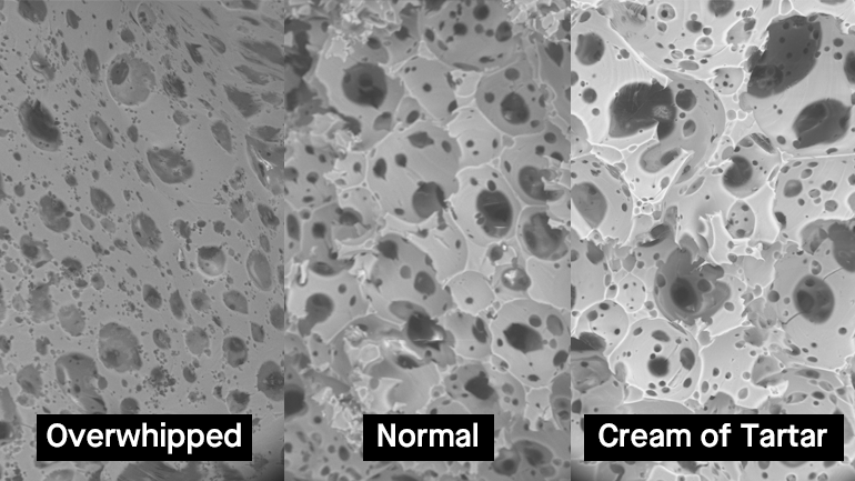SEM images of a meringues prepared in different ways