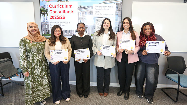 Curriculum consultants