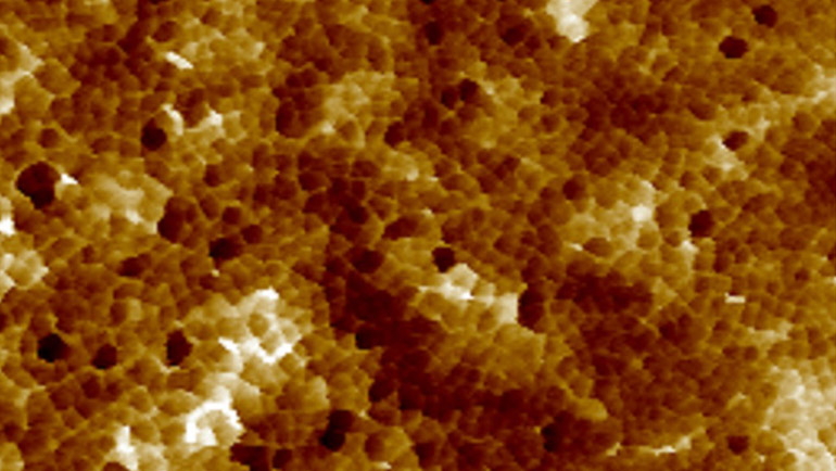 CeO2 nanoparticles on the surface of Belzona 5721 paint, the top coating used for wind turbine leading blades.