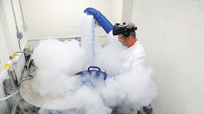 researcher using liquid nitrogen