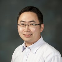 Professor Lu Liu