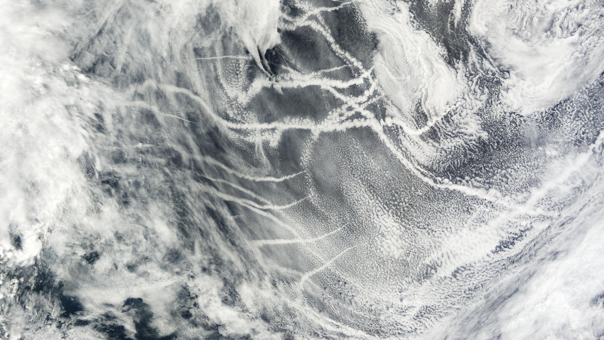 Ship tracks, bright lines in a cloud deck, over the north Pacific