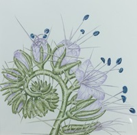 Example of Georgia Danvers art work