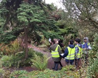 children under trees