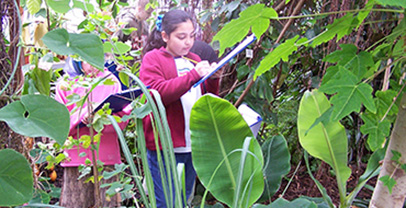 Children inside the tropical house at The university of Leicester Botanic Garden