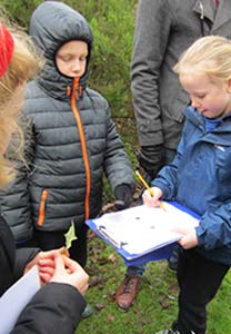 Children with teacher sketching a holly leaf