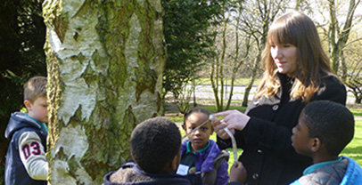 A teacher with children measuring the girth of a tree