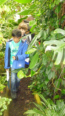 Child in the tropical house at the University of Leicester Botanic Garden