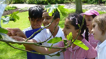 Children examining a tree