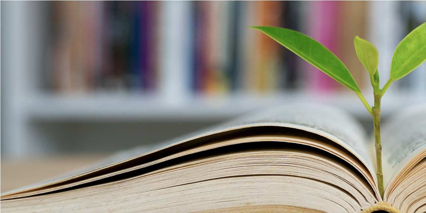 Plant growing from a book