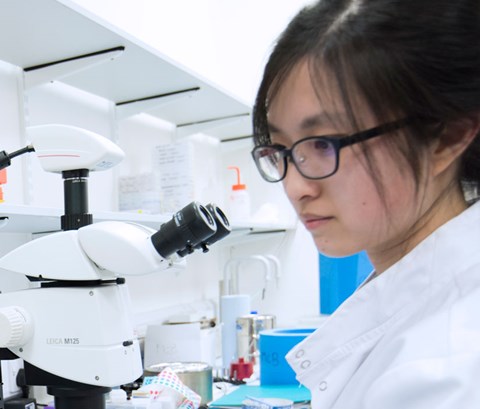 Student in a lab standing next to a microscope.