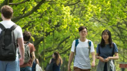 Students walking alongside trees